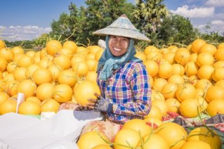 © G4AW Myvas4Agri project