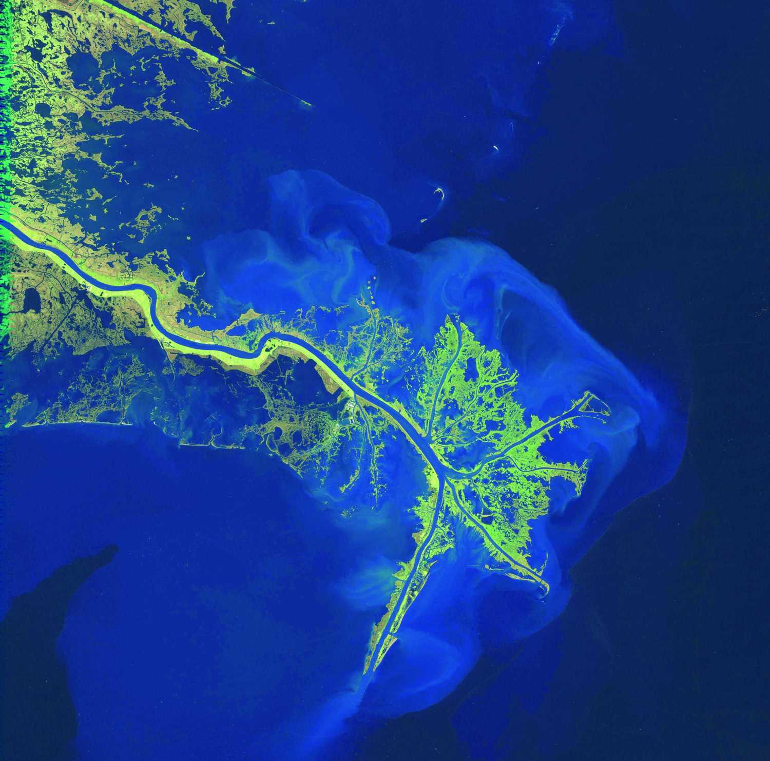 Mississippi delta morphology