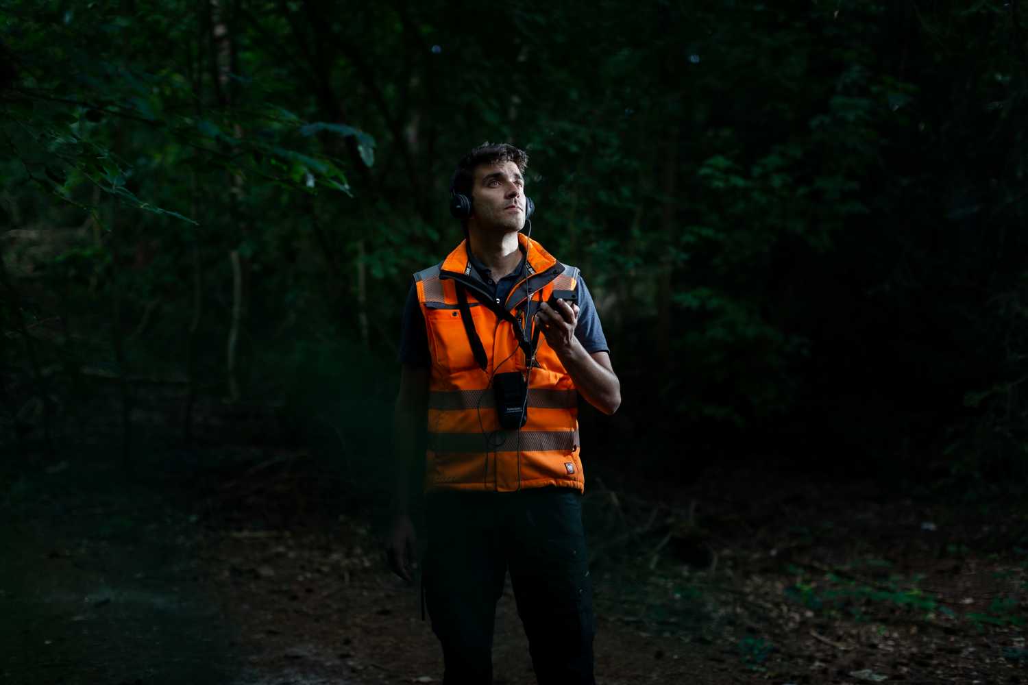 From flora & fauna quick scans to monitoring bats. Our ecologists meticulously scour trees.