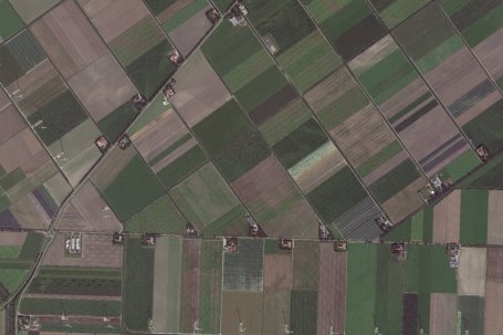 Landbouwgrond in Noord-Holland. Bron: Satellietdataportaal, Pléiades Neo @ Airbus DS (2023), 8 september 2023