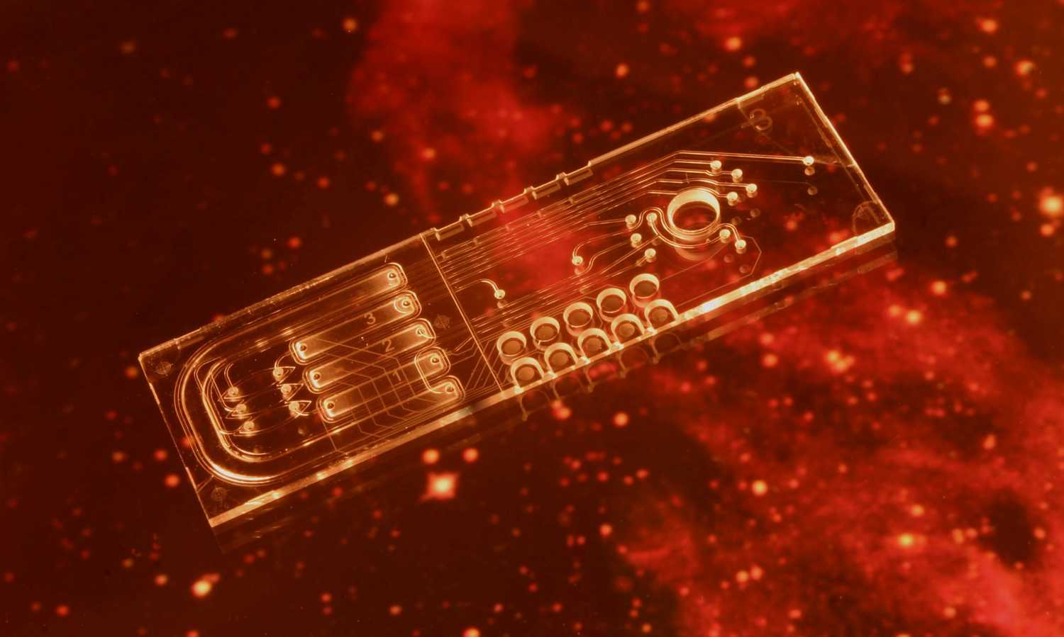 Microfluidic chipmodule in miniaturised micro-array for detection of life on Mars (Life Marker Chip)