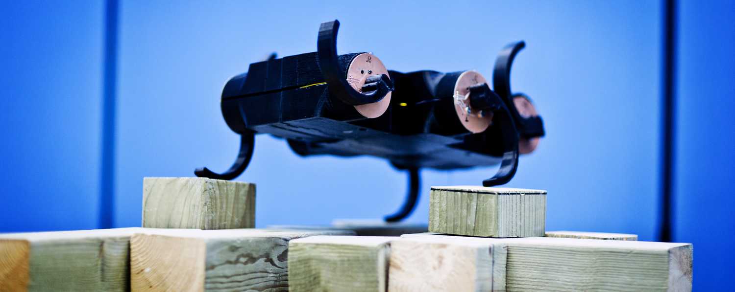 Zebro robot in Cyber Zoo TU Delft