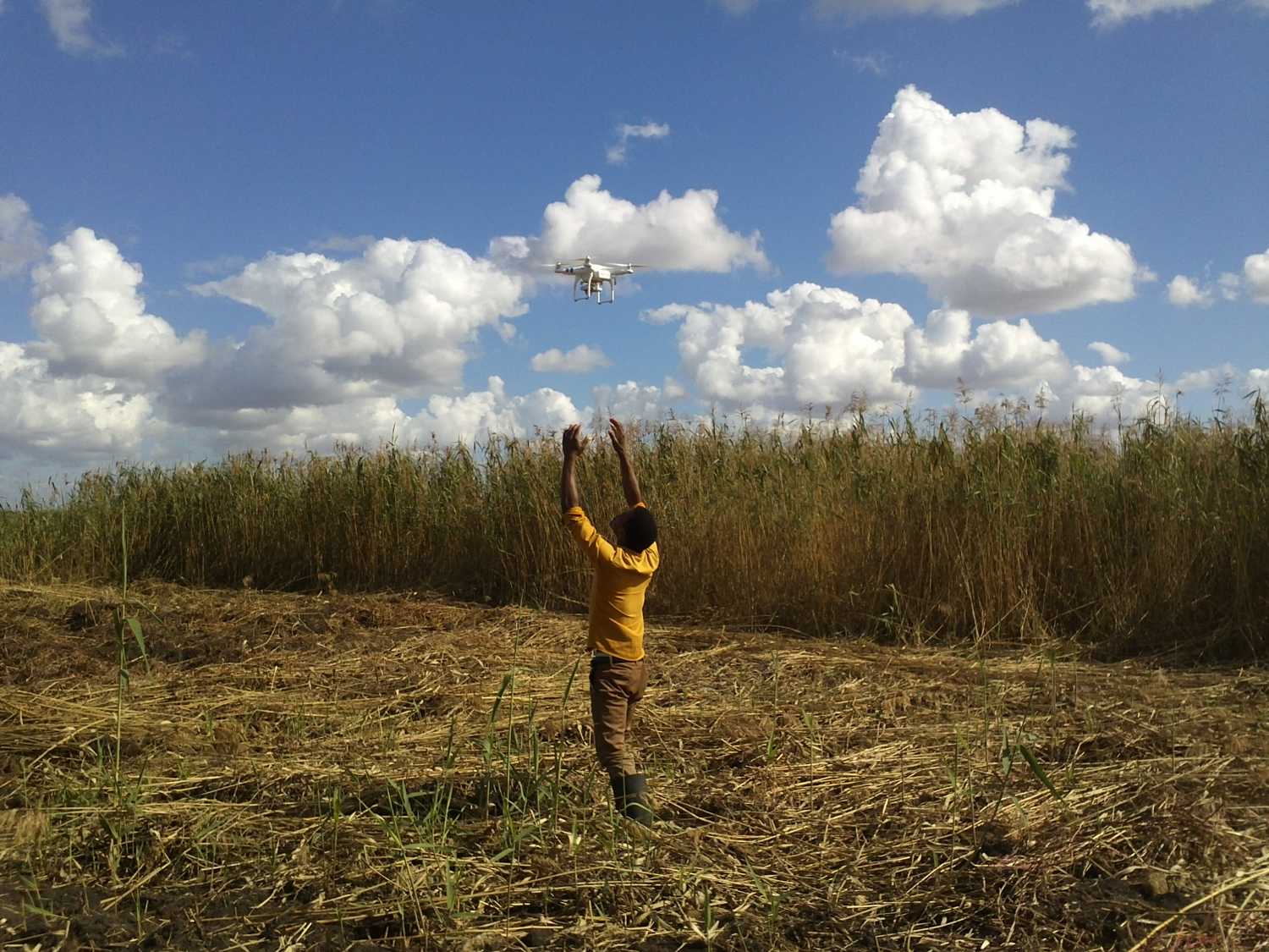 Farmer in Mozambique