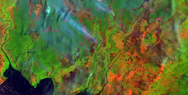 Ontbossing en rookpluimen in Borneo. Proba-V, credits ESA/ VITO