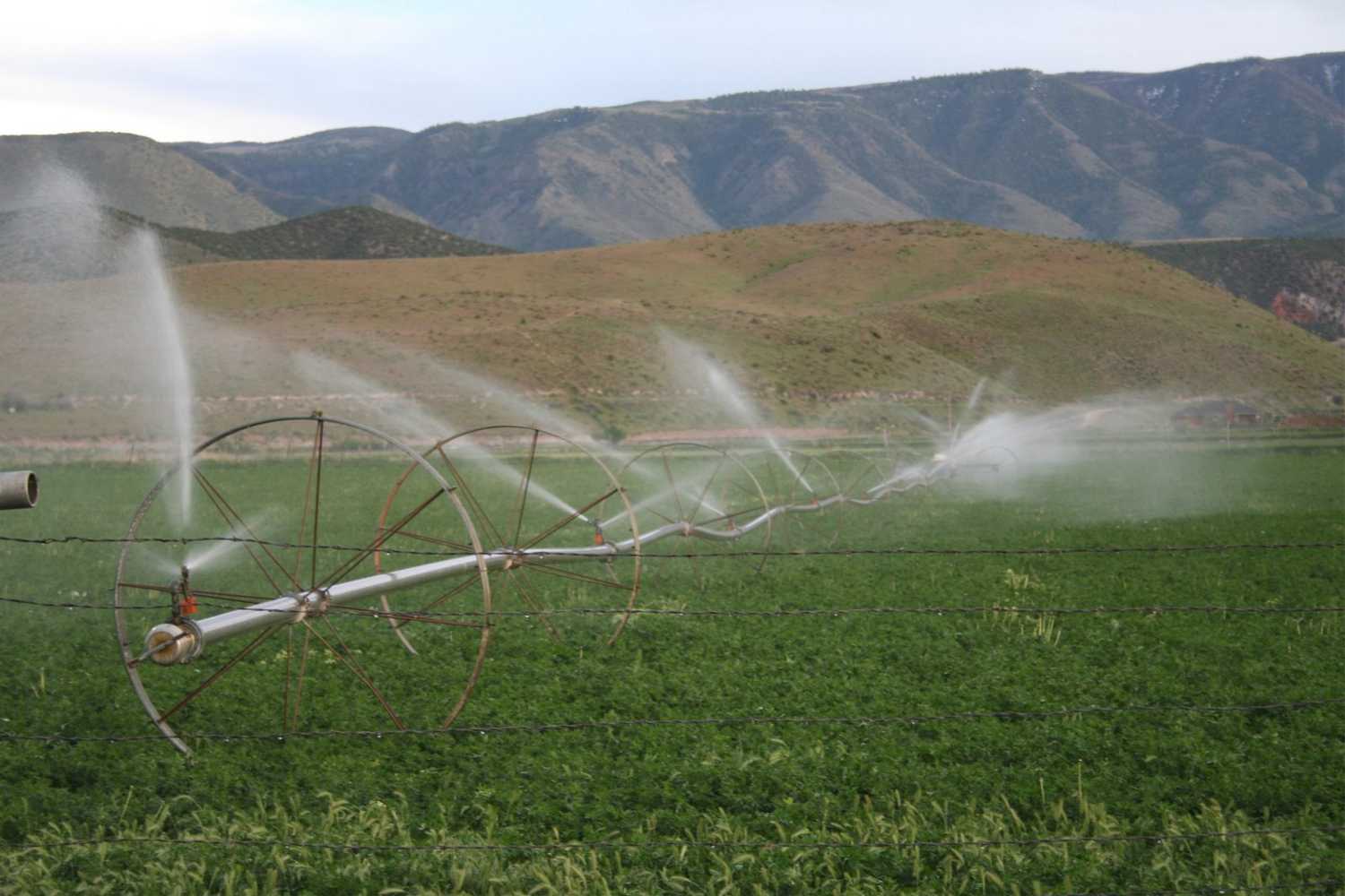 We can see soil moisture on a field level, no model, actual observations