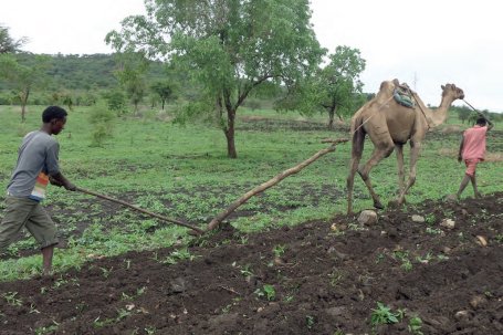 G4AW project CommonSense in Ethiopië