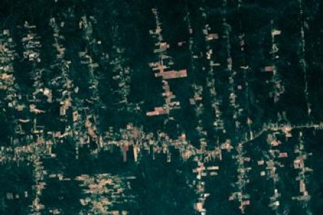 Ontbossing in de Amazone is te zien vanuit de ruimte. Bron: Thomas Pesquet/ESA